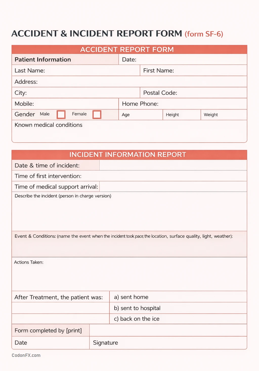 Accident Report Form Accident Report Form Template