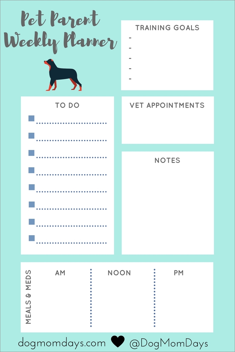 dog schedule template sample dog schedule template sample