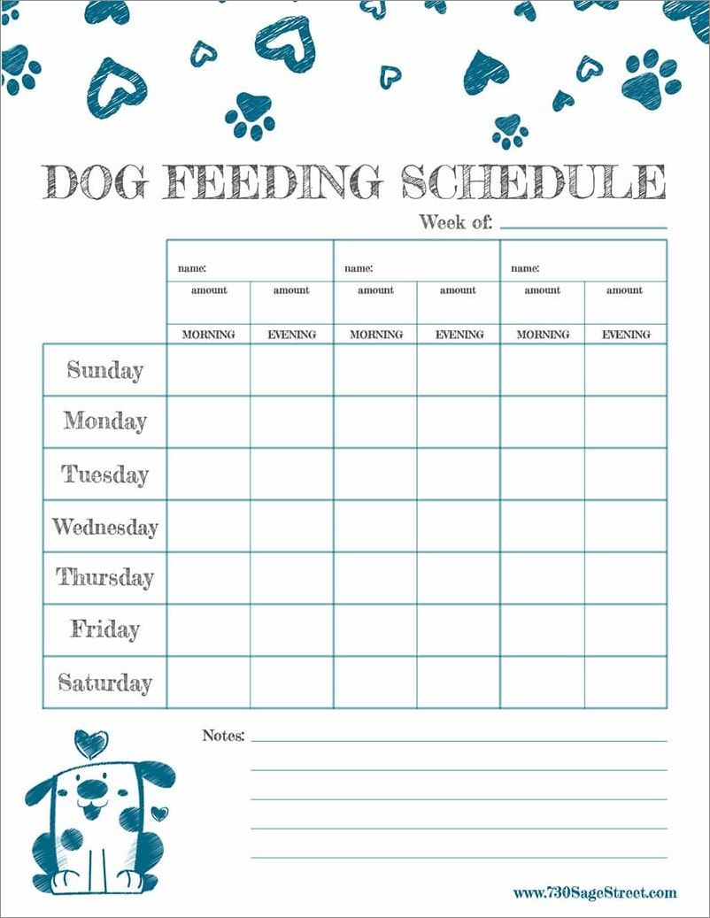 example of dog schedule template