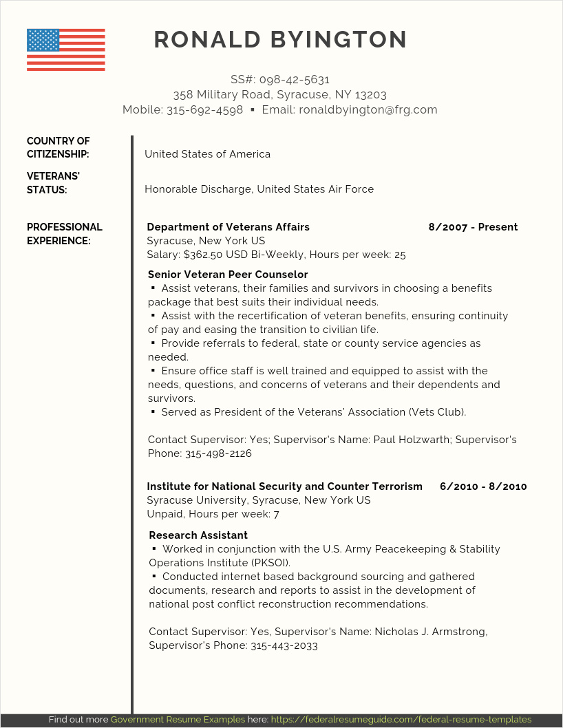 example of federal government resume template