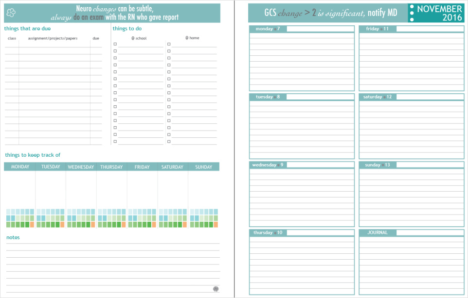example of nurse student planner template