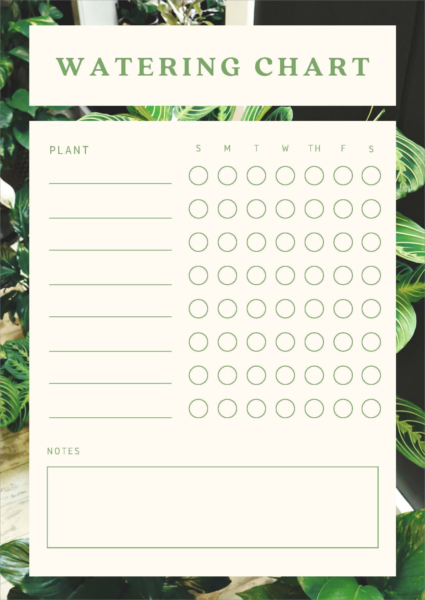 example of plant watering schedule template