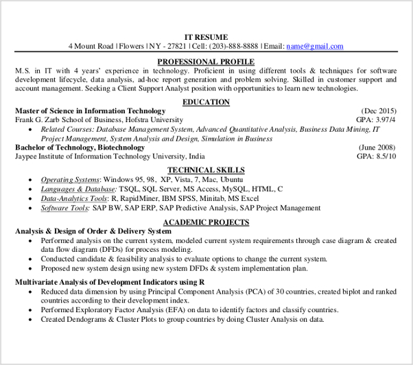 example of professional it resume template