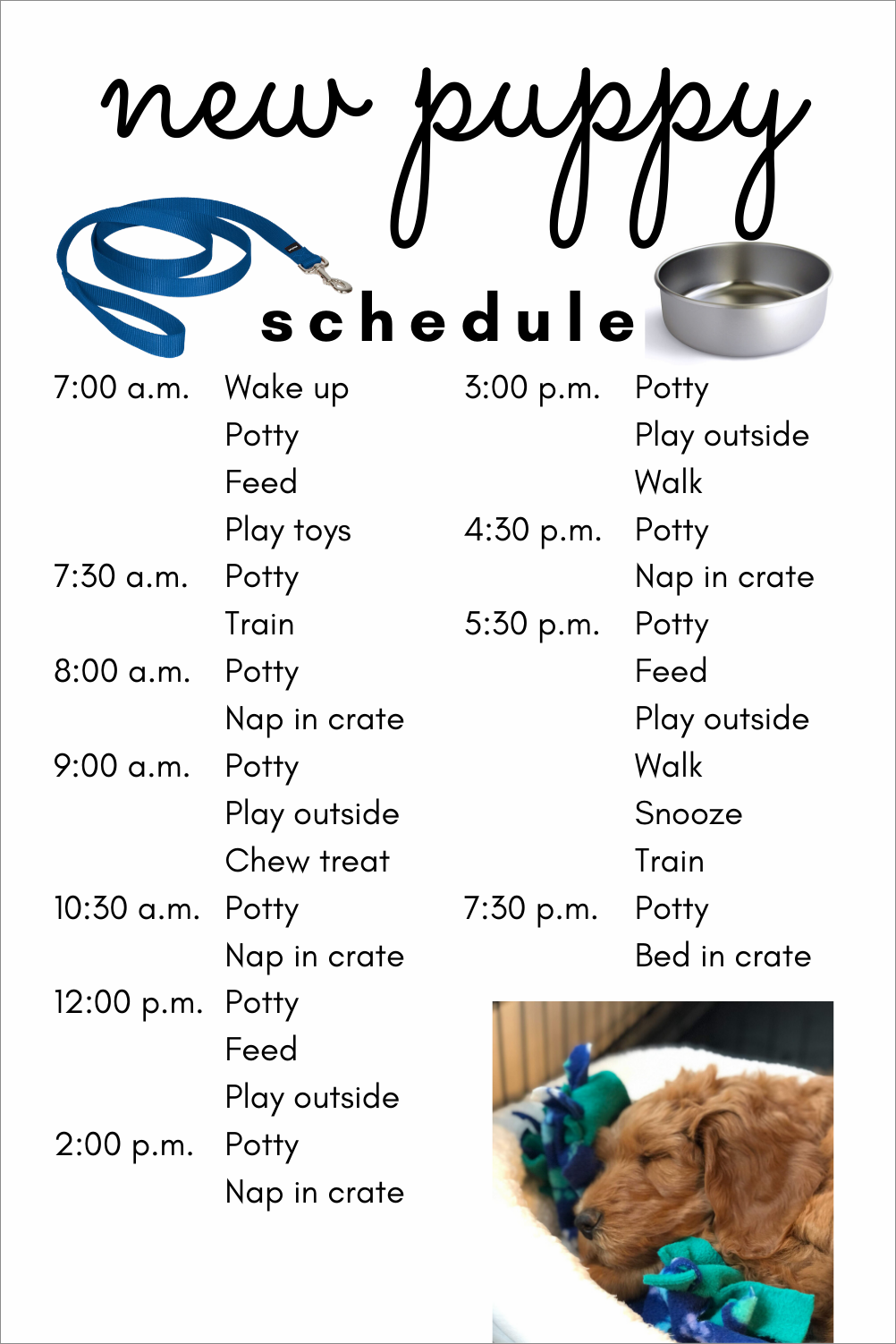example of puppy schedule template
