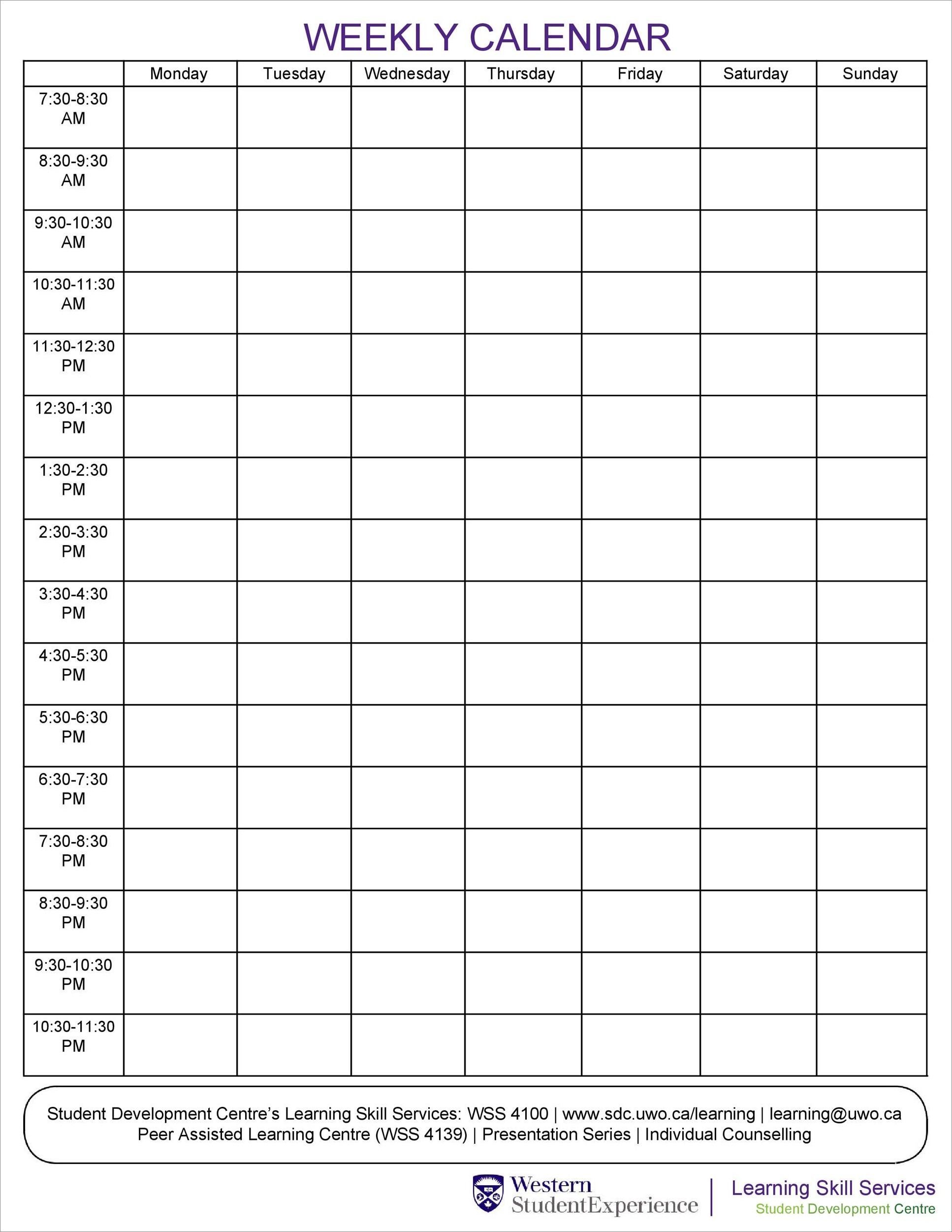 hour-by-hour schedule template sample