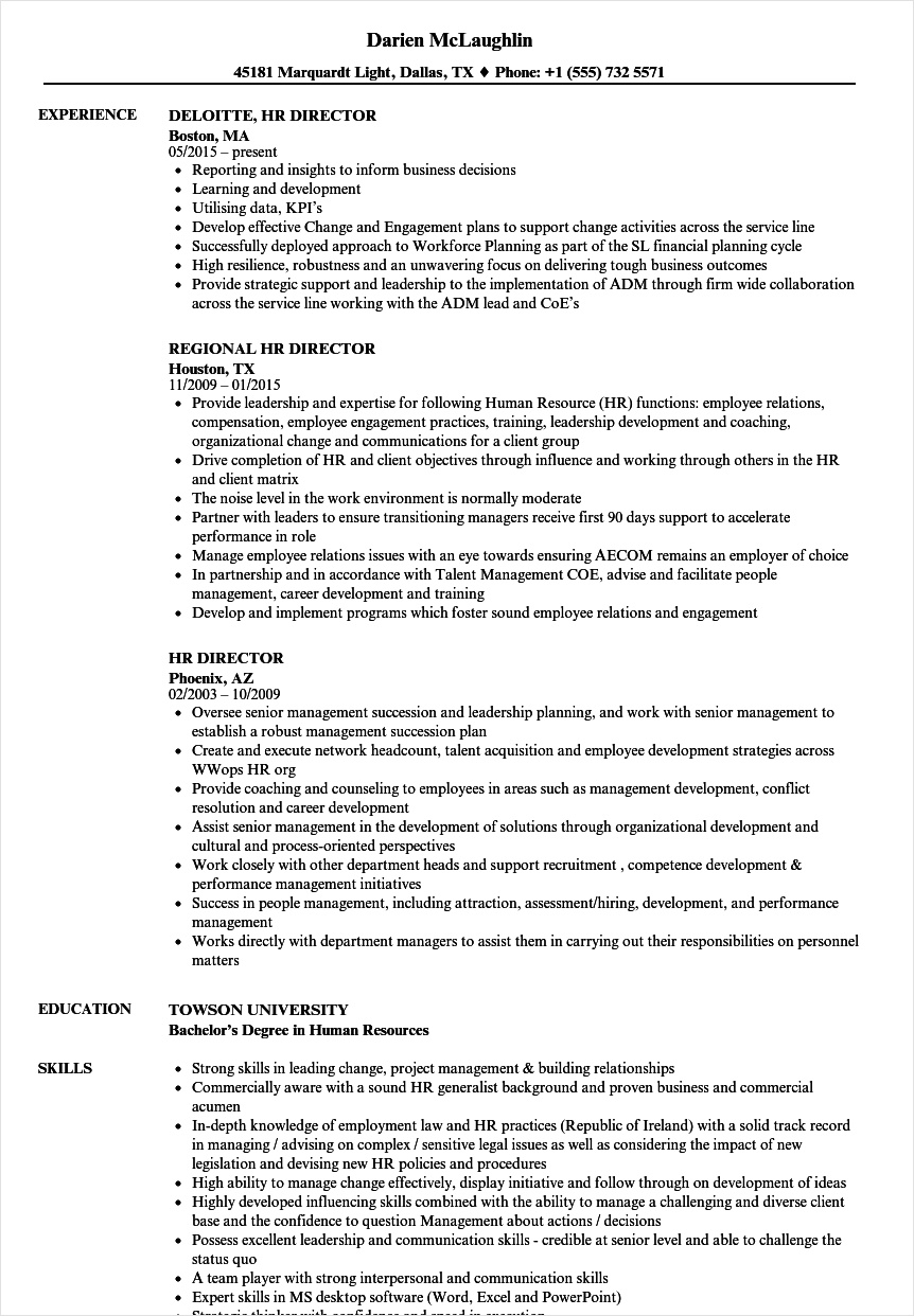 hr director resume template example