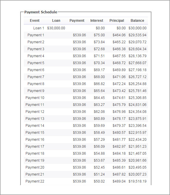 loan payment schedule template sample