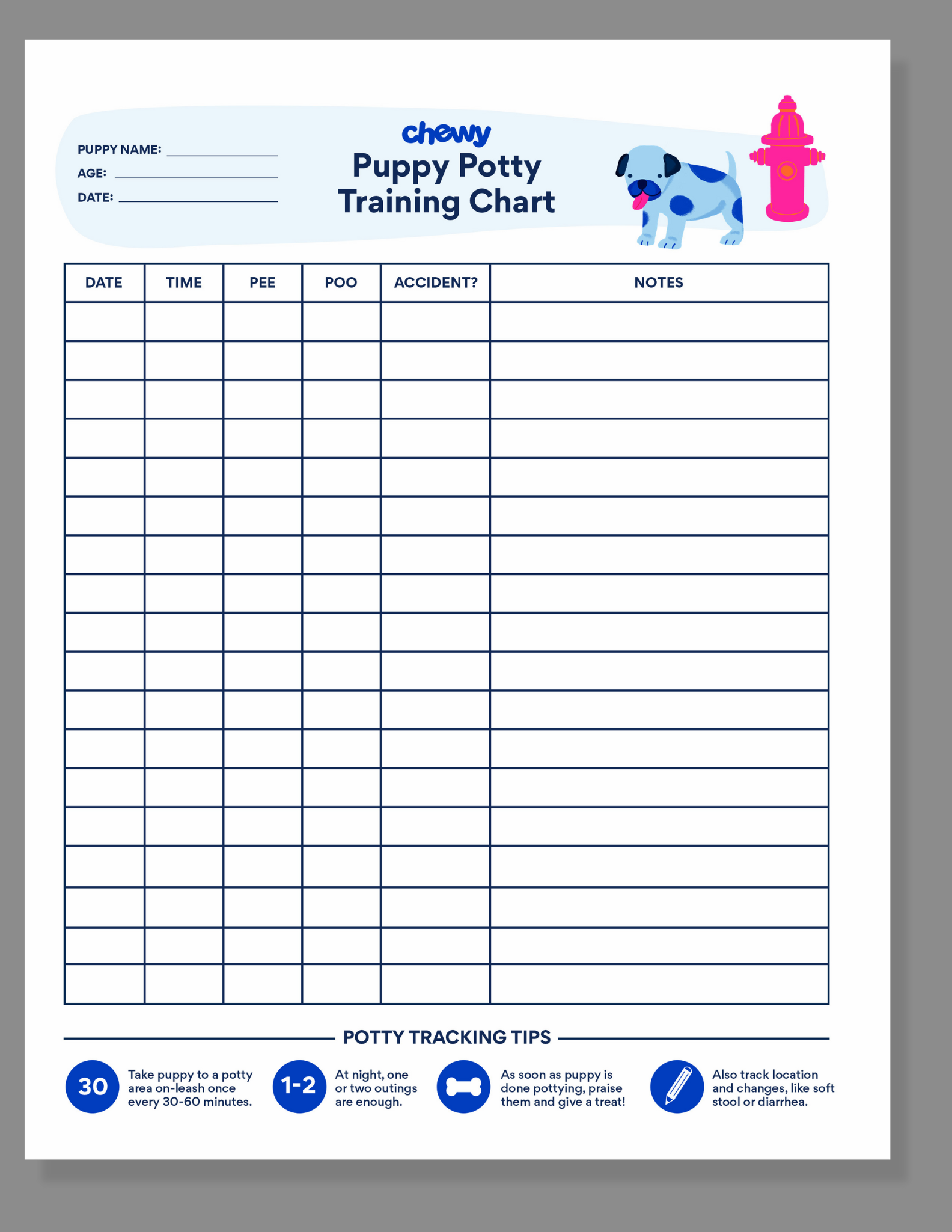 puppy schedule template example