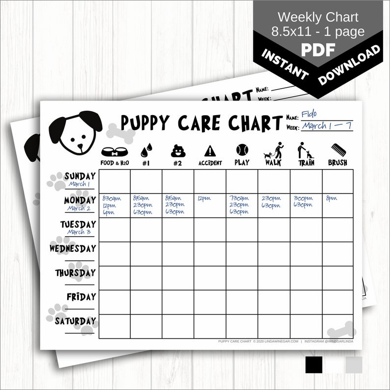 puppy schedule template sample