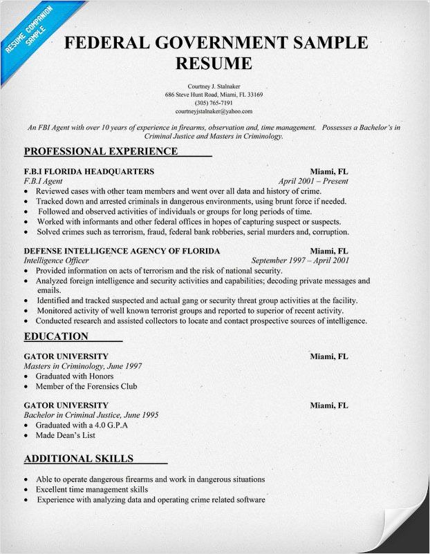 sample of resume template for government job