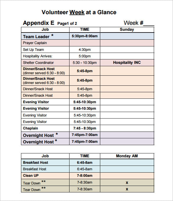sample of volunteer schedule template