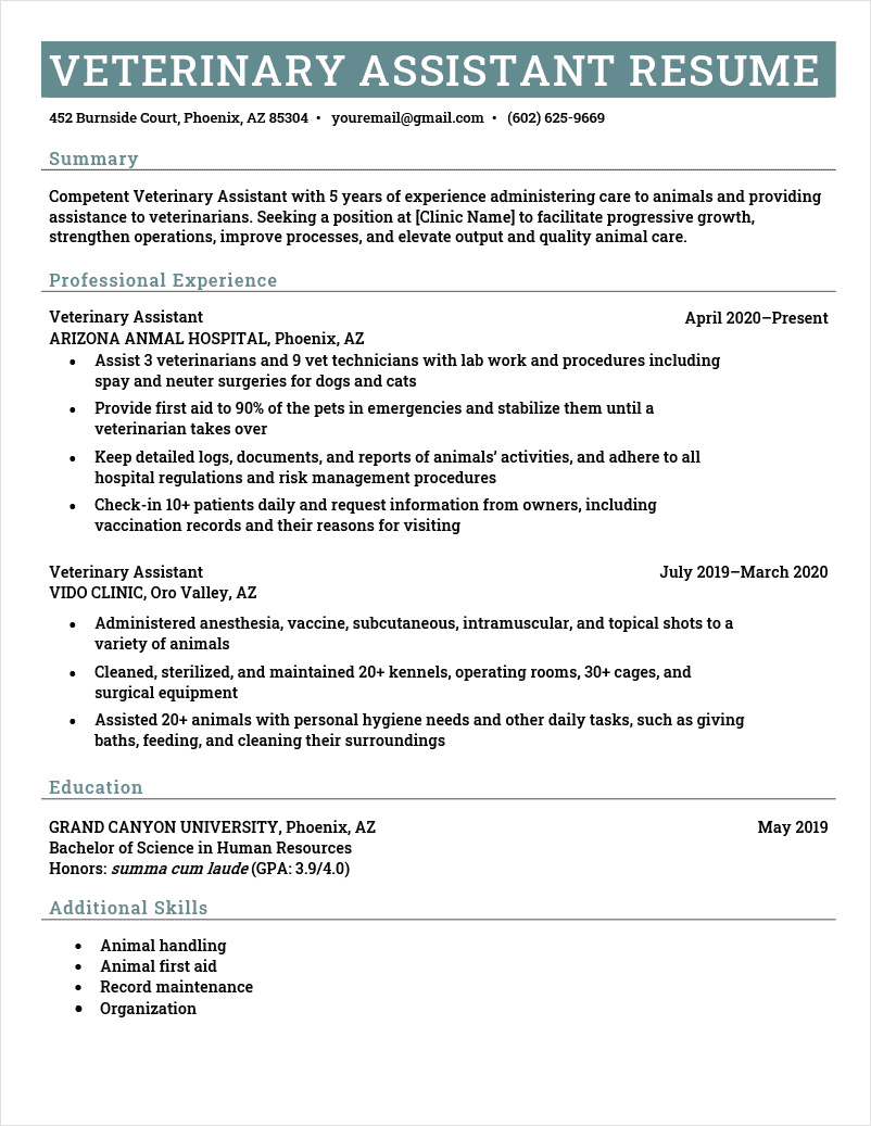 vet tech resume template example